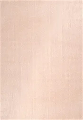 POLY Peluş Halı-Bej- Salon-Mutfak-Antre-Oturma Odası-Yumuşak-Kaymaz Taban-Yıkanabilir–Modern-Uygun Fiyat