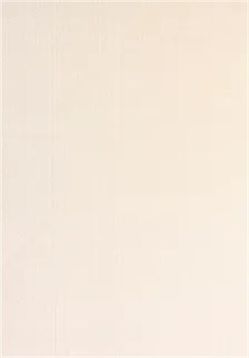 POLY Peluş Halı-Krem-  Salon-Mutfak-Antre-Oturma Odası-Yumuşak-Kaymaz Taban-Yıkanabilir–Modern-Uygun Fiyat