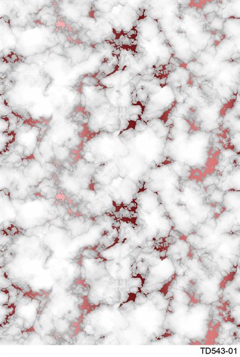 Elena DijiMod Baskı TD543 01