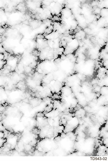 Elena DijiMod Baskı TD543 02