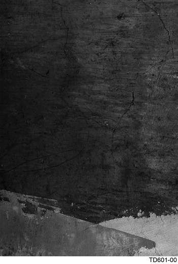 Elena DijiMod Baskı TD601 00