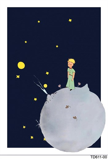 Elena DijiMod Baskı TD611 00