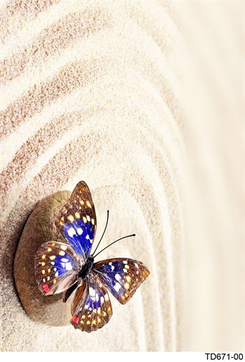 Elena DijiMod Baskı TD671 00