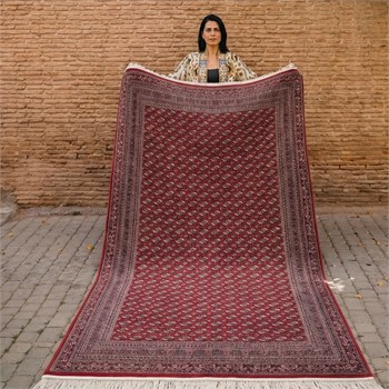 Klasik Kaliteli Salon Halısı SAFRON SF31A