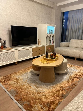 Modern ve Klasik Desenli Salon Halısı ROSADA RS04A