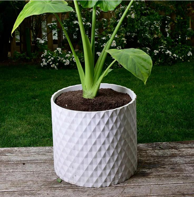 Golden Gate Round Beton Saksı H:45