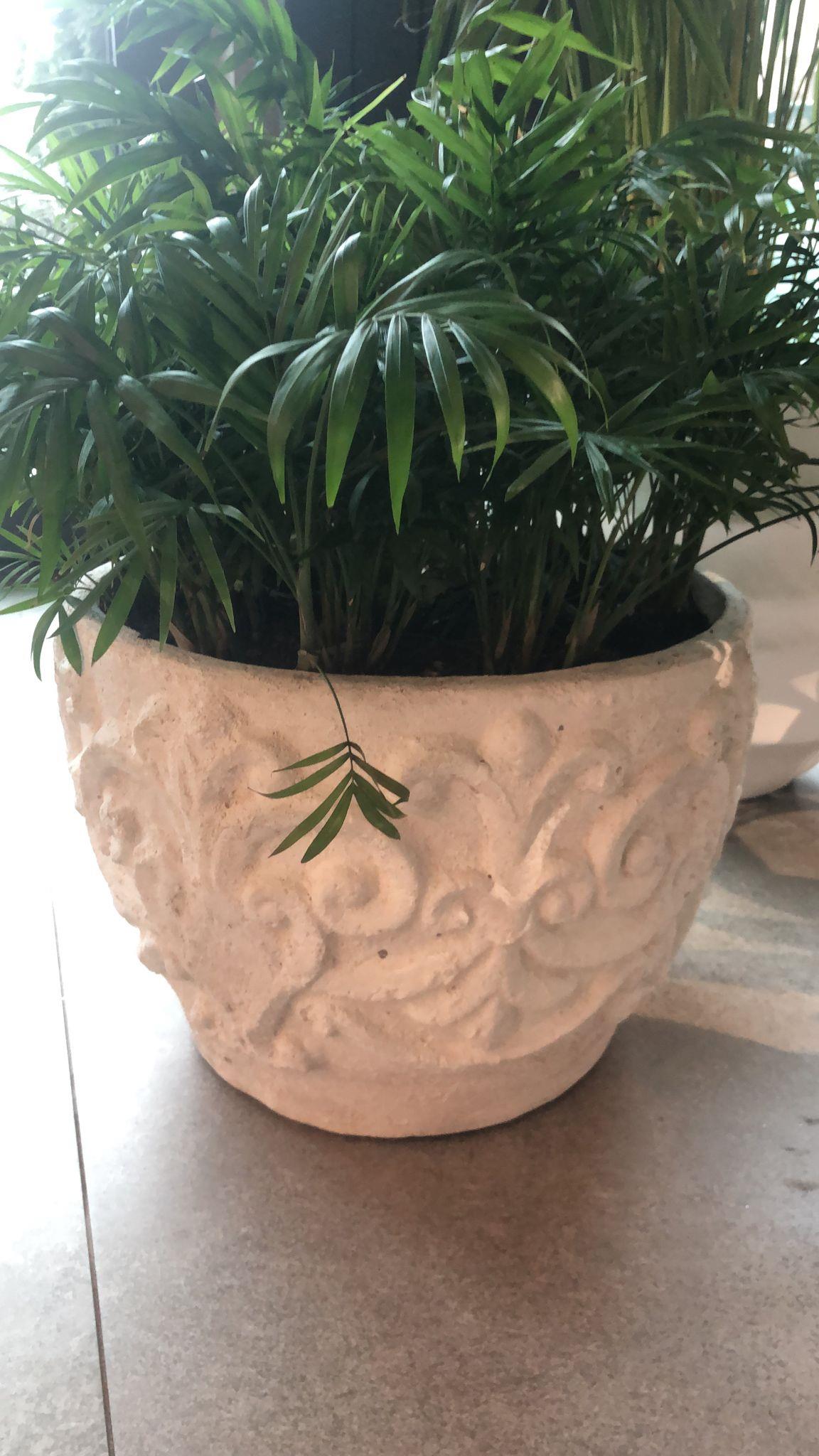 PERGE     (MEDIUM) BETON SAKSI