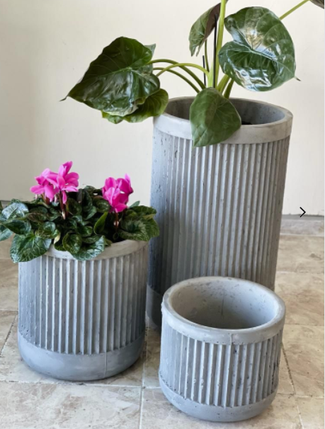 Roma Büyük Boy Beton Saksı