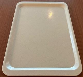 Erkoplas ERKO0107 10lu paket Krem Tepsi37x53