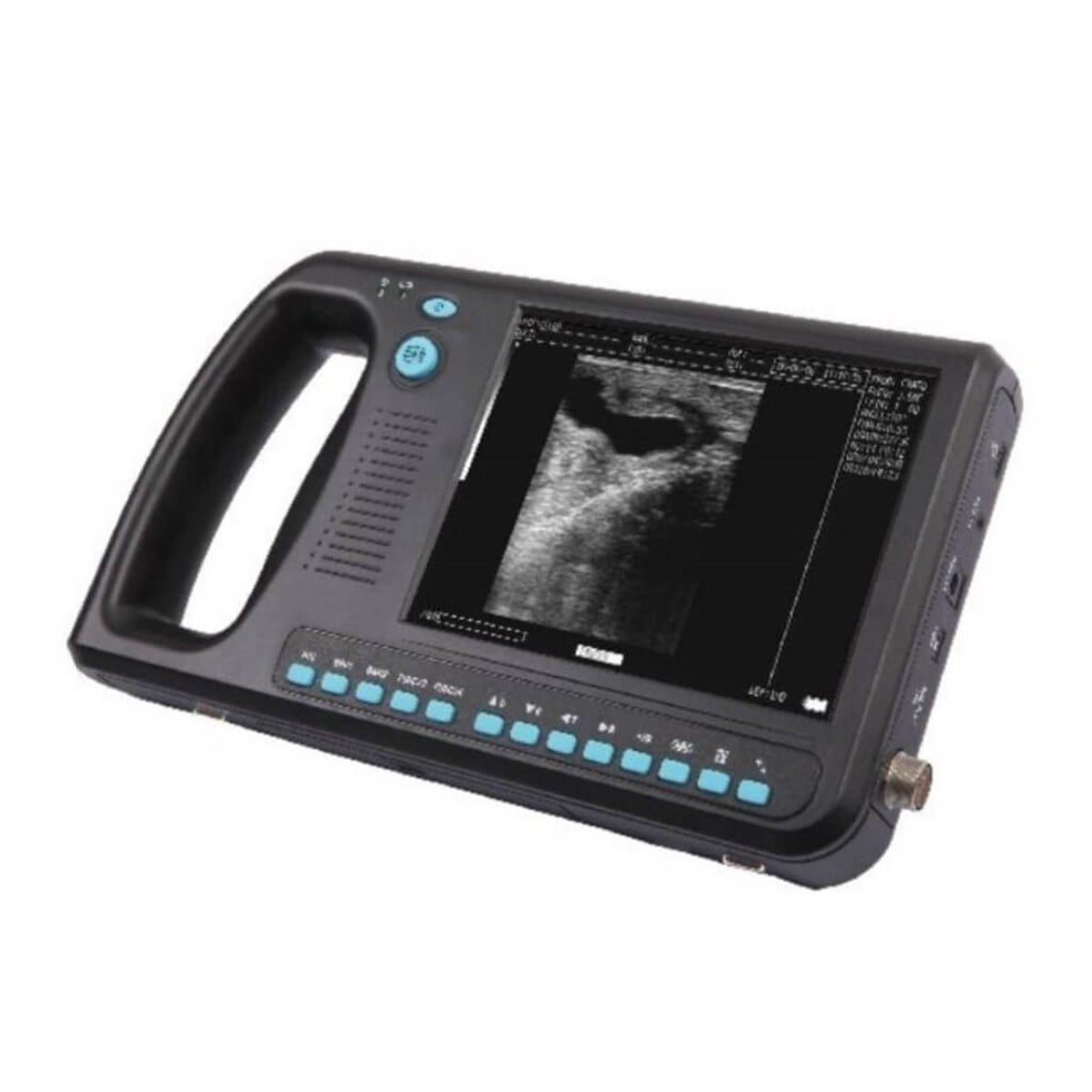 Hasvet WED-3000V Veteriner Ultrason Cihazı