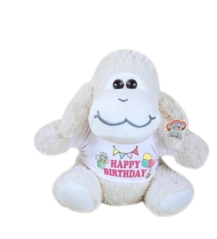 25 Cm Tişörtlü Çiçek Kuzucuk