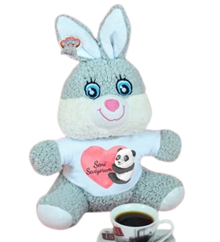 25 Cm Tişörtlü Çiçek Tavşancık