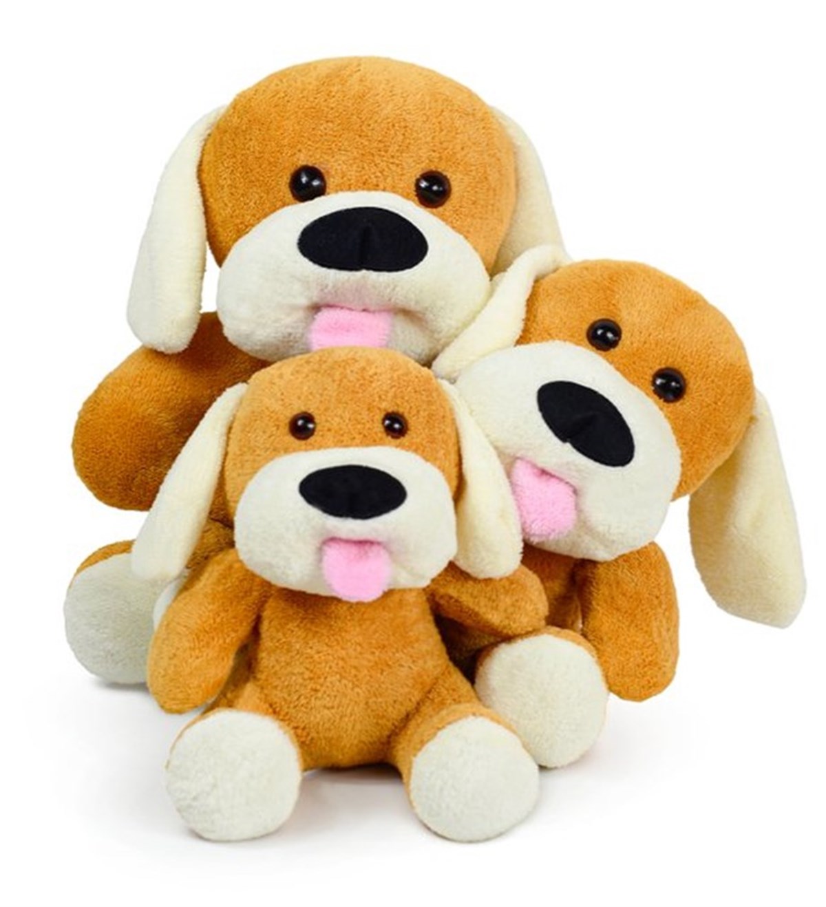 Sevimli 3'lü Köpek Ailesi