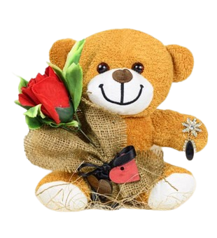 Sevimli Ayıcık Özür Dilerim Seti 25 Cm Broş Çiçek