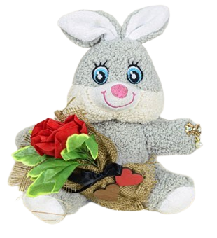 Sevimli Tavşan Özür Dilerim Seti 25 Cm Broş Çiçek 