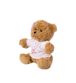 Ayı Teddy