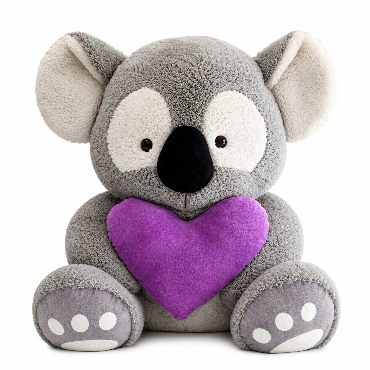Hollywood Koala