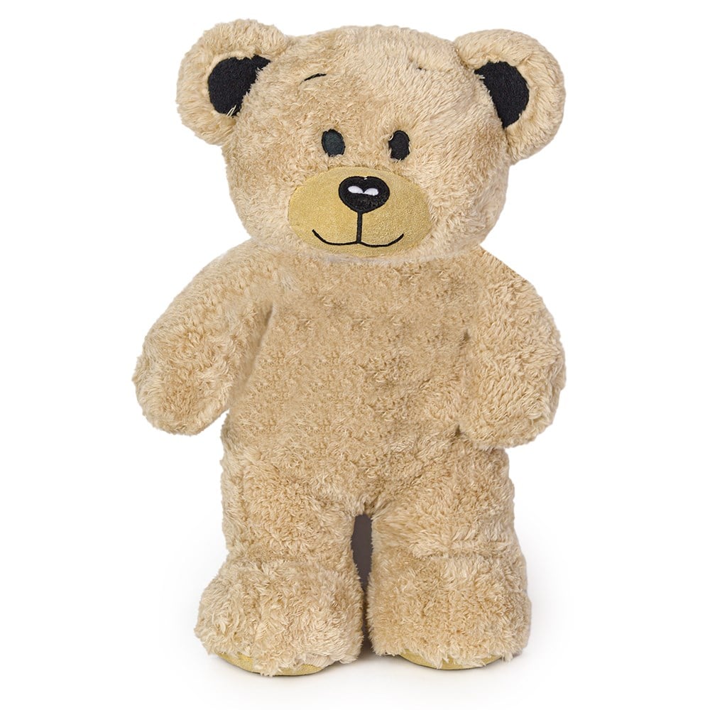 Teddy Ayı