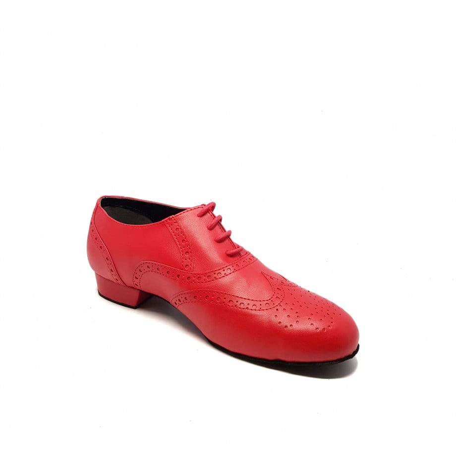 ERKEK DANS AYAKKABISI