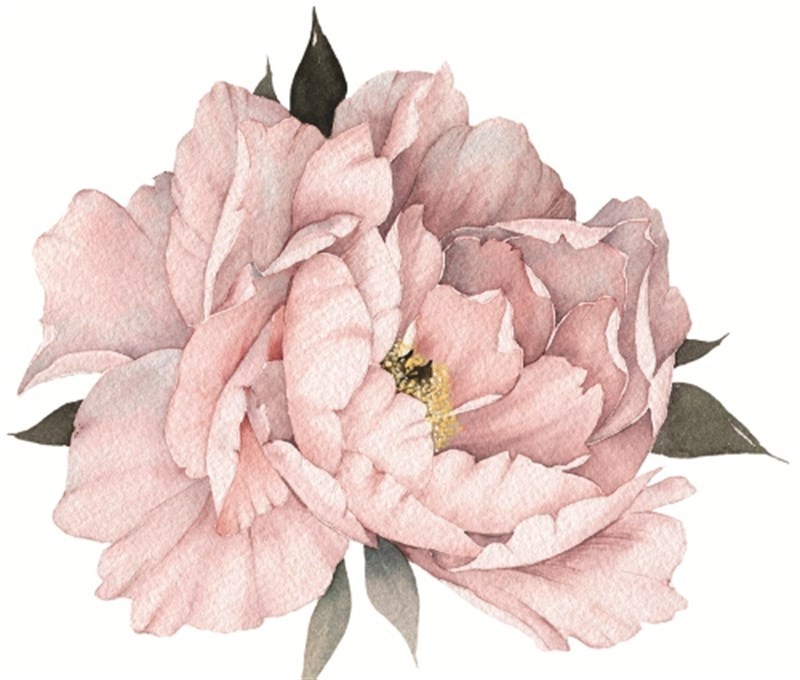 Gül Duvar Sticker-62