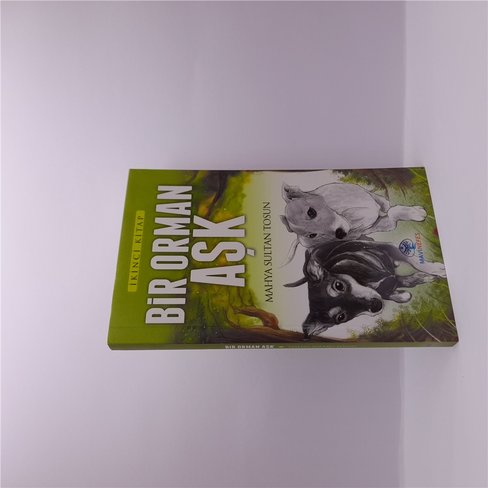 BİR ORMAN AŞK