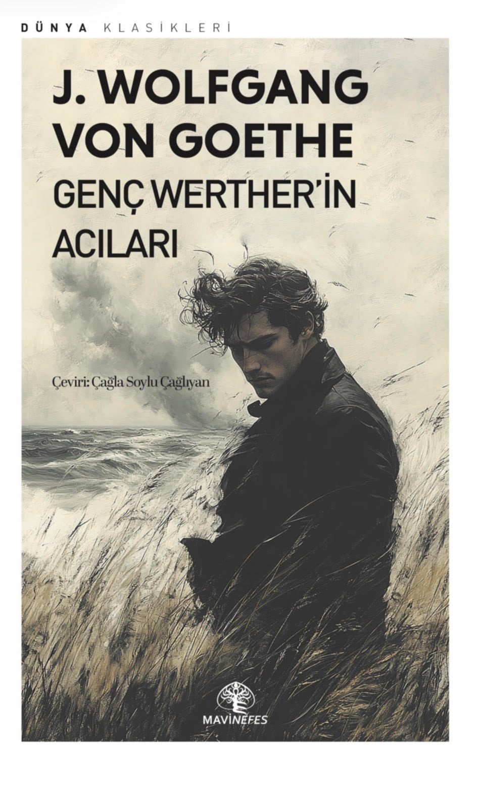 GENÇ WERTERİN ACILARI