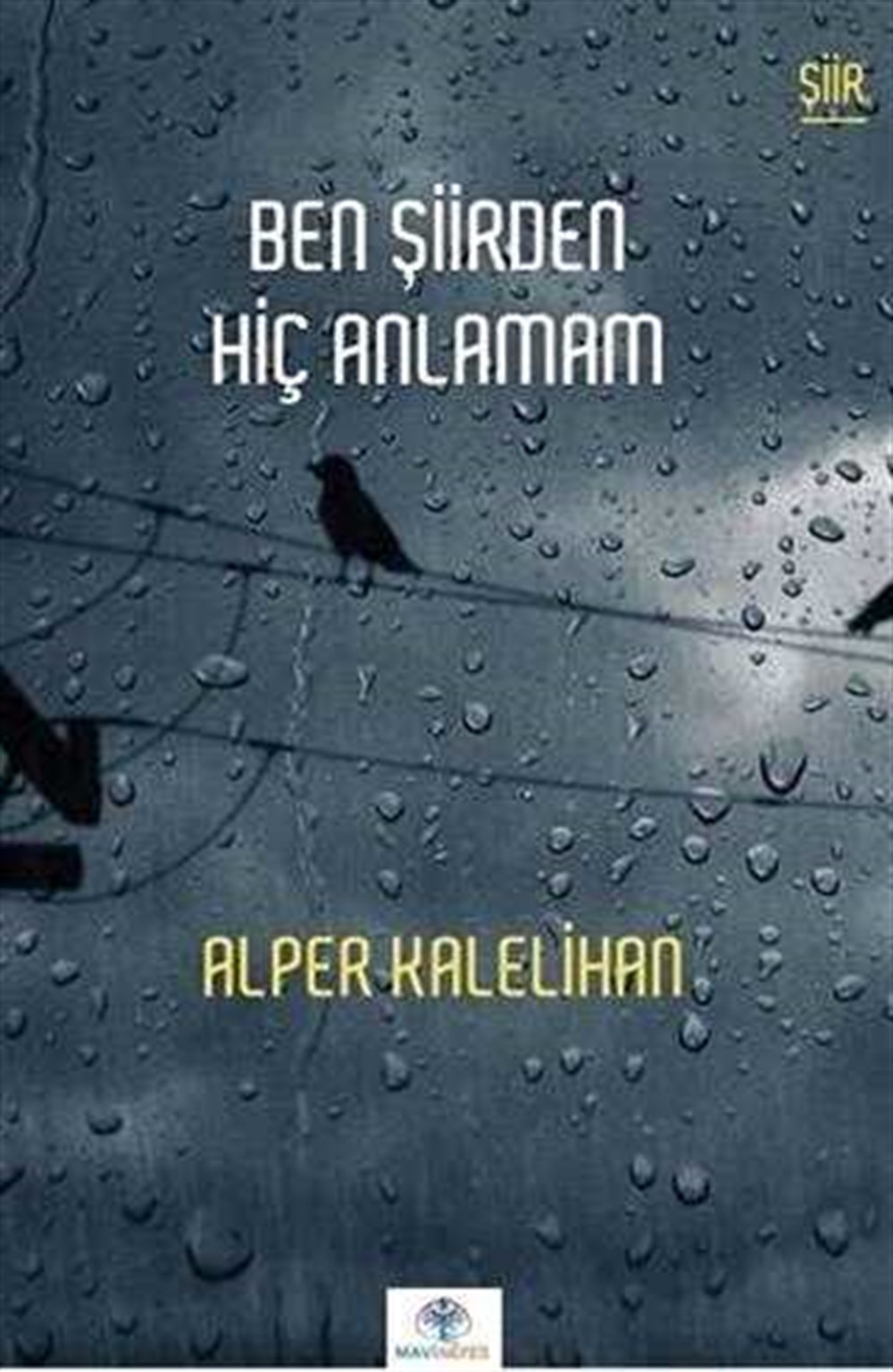 BEN ŞİİRDEN HİÇ ANLAMAM