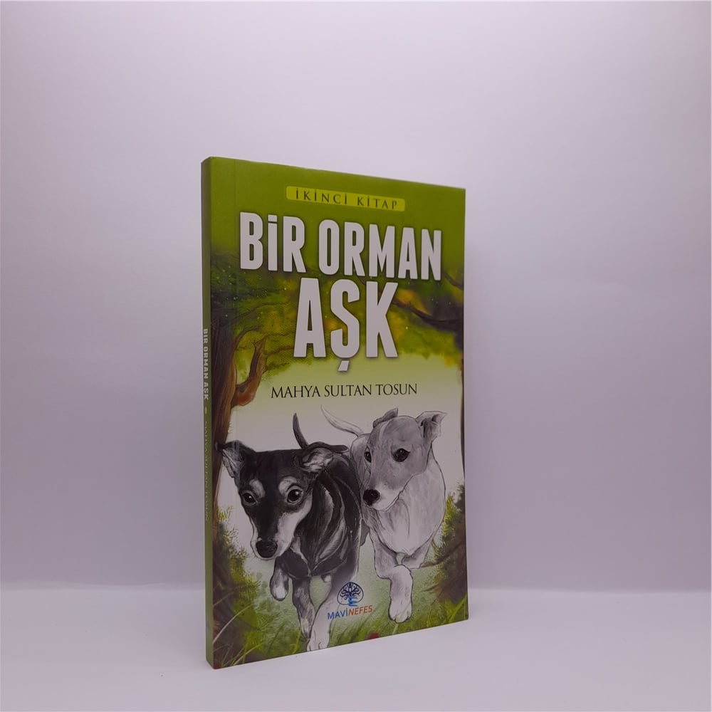 BİR ORMAN AŞK