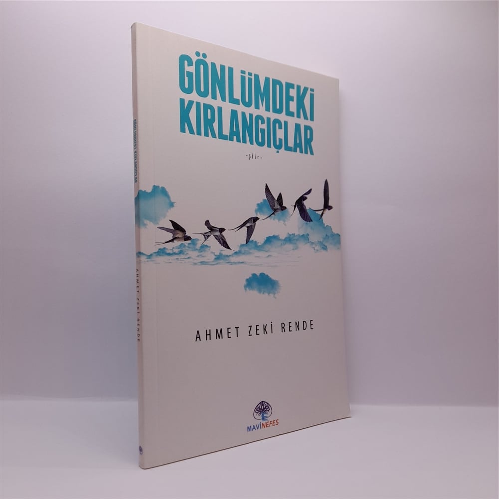 GÖNLÜMDEKİ KIRLANGIÇLAR