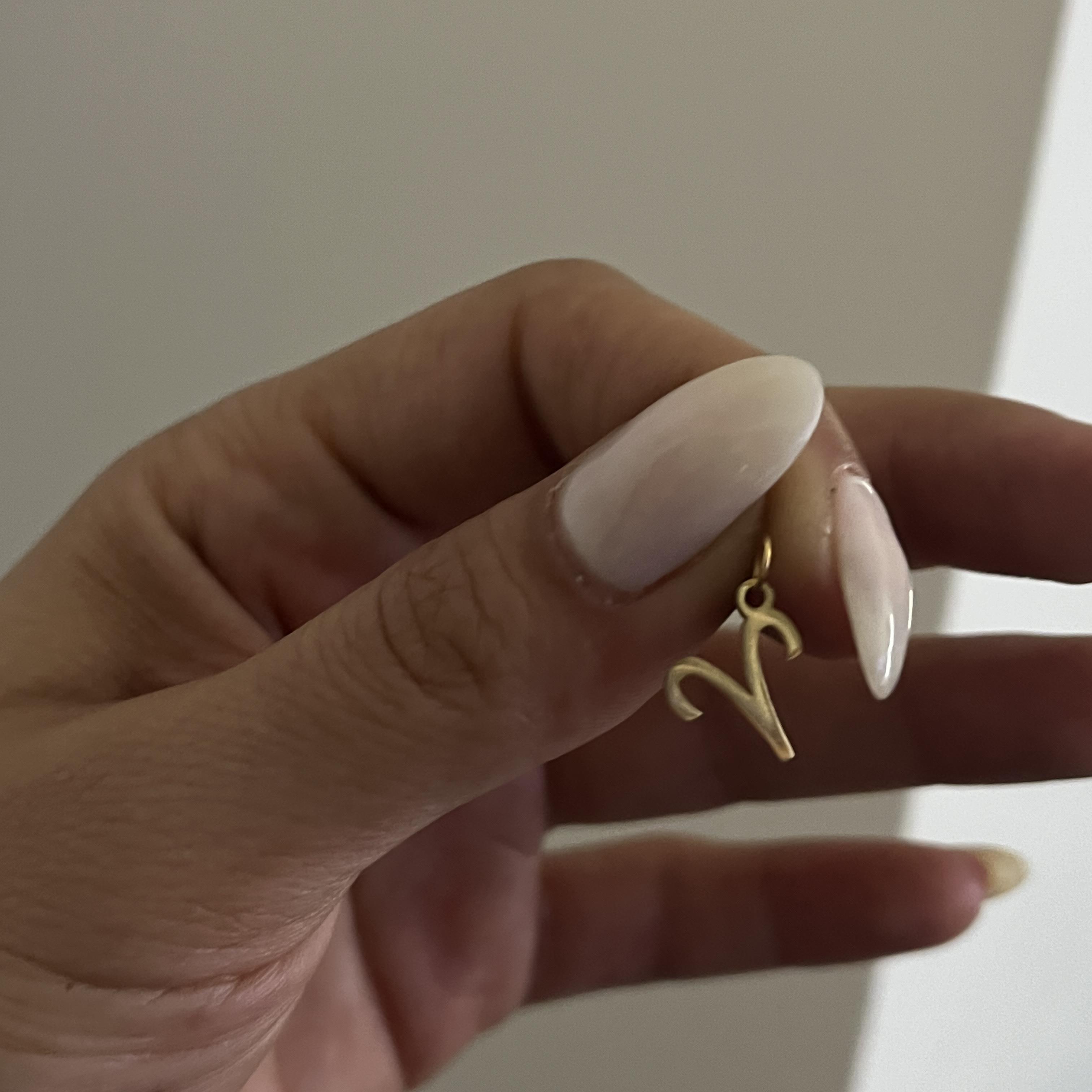 925 ayar gümüş burç kolye ucu