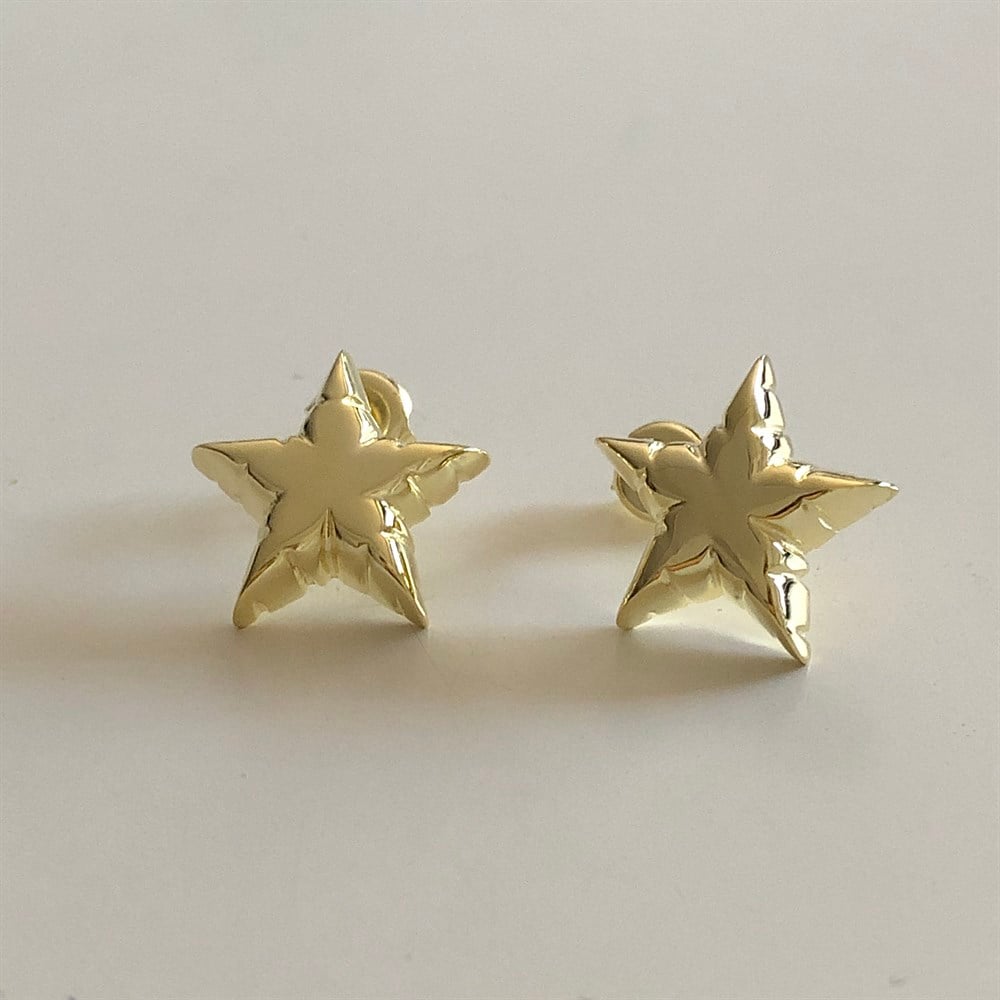 925 dolgun yıldız küpe