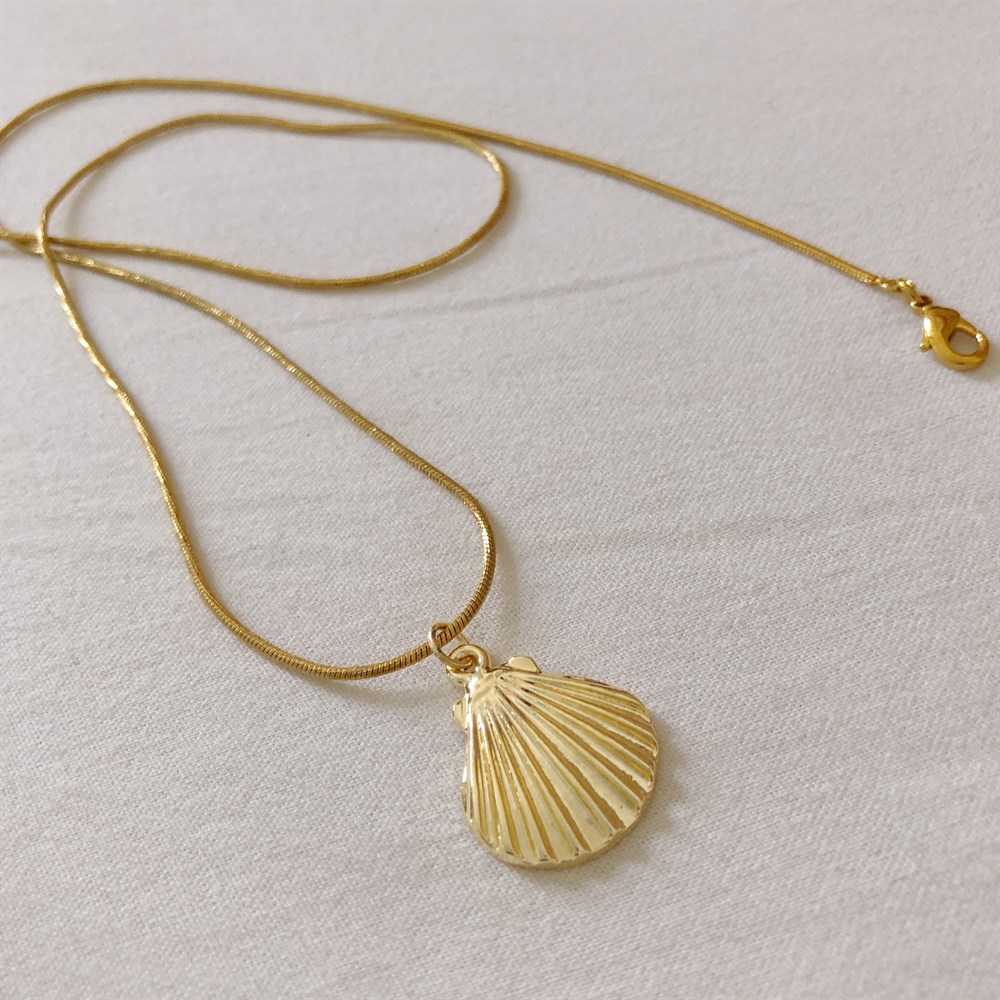 Deniz kabuğu kolye