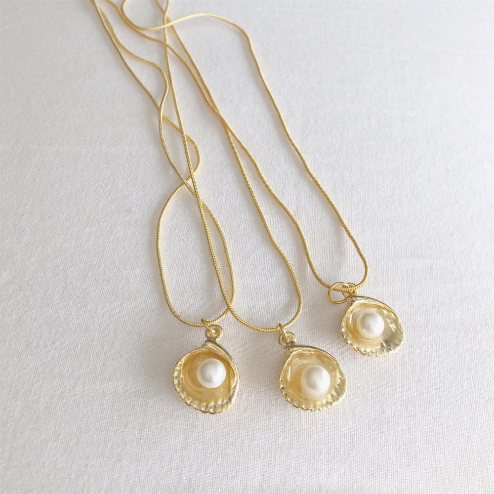 İncili deniz kabuğu