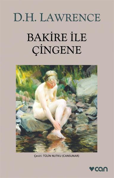 Bakire İle Çingene (Gri Kapak)