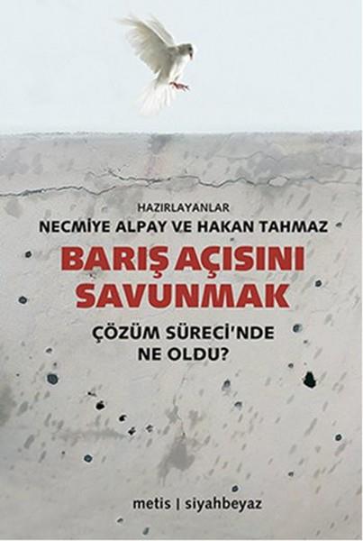 Barış Açısını Savunmak  Çözüm Sürecinde Ne Oldu?
