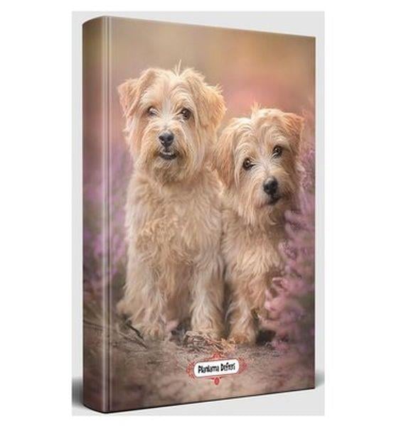 Beyaz İkili - Planlama Defteri