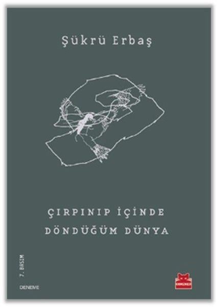 Çırpınıp İçinde Döndüğüm Dünya