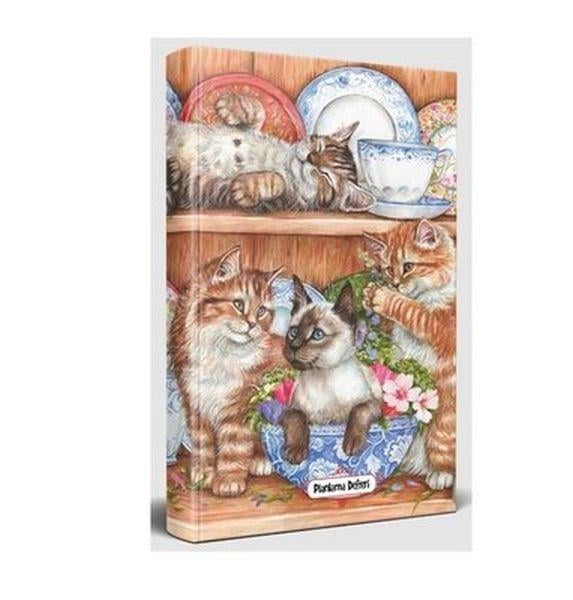 Evin Kedileri - Planlama Defteri