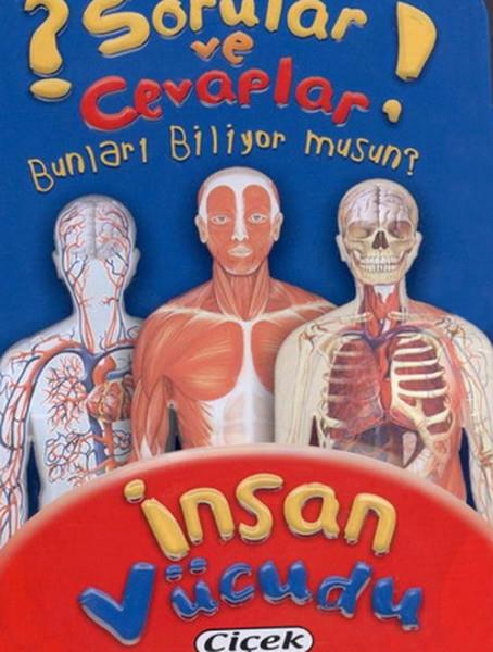 İnsan Vücudu (Kart) / Sorular ve Cevaplar Dizisi 3