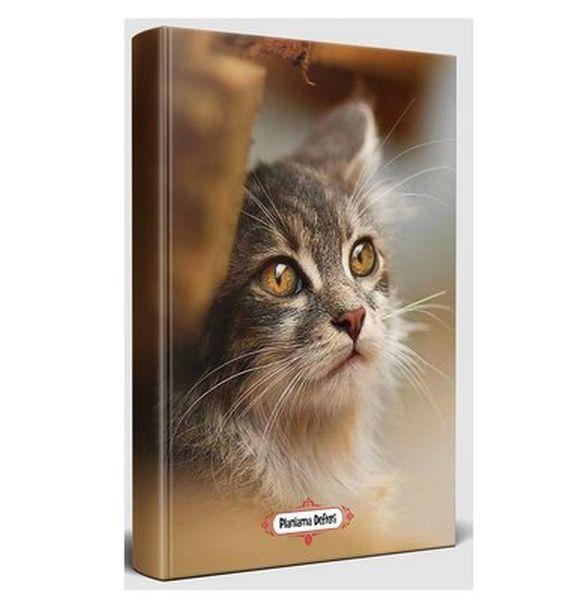 Minik Kedi - Planlama Defteri