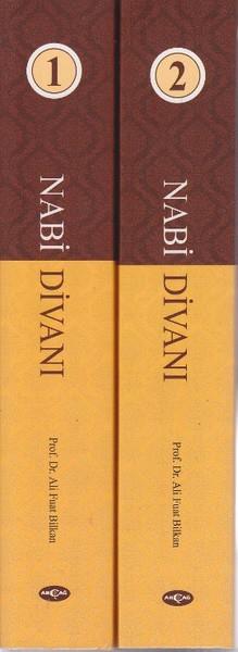 Nabi Divanı (2 Kitap Takım)