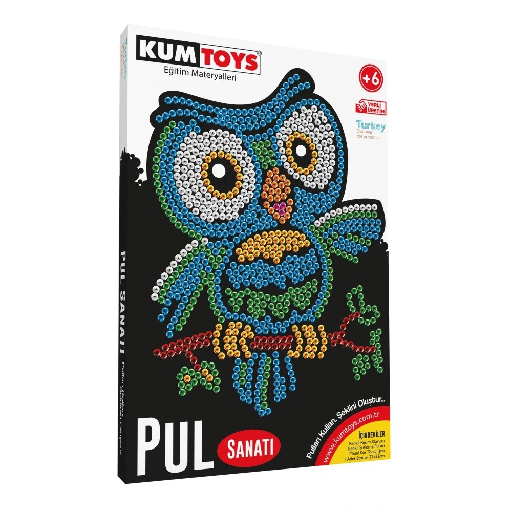PUL SANATI