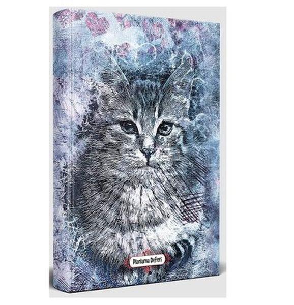 Asil Kedi - Planlama Defteri