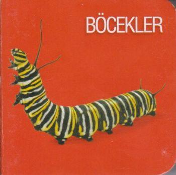 Böcekler