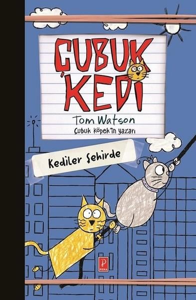 Çubuk Kedi - Kediler Şehirde