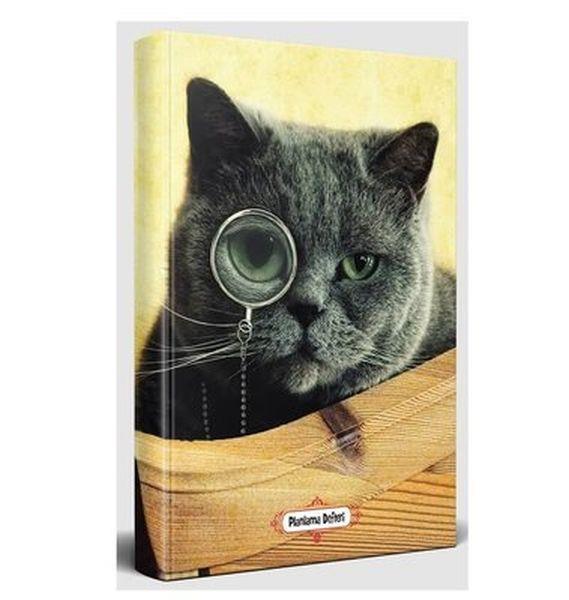Dedektif Kedi - Planlama Defteri