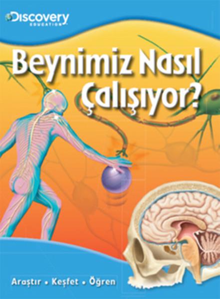 Dıscovery Education Beynimiz Nasıl Çalışıyor?
