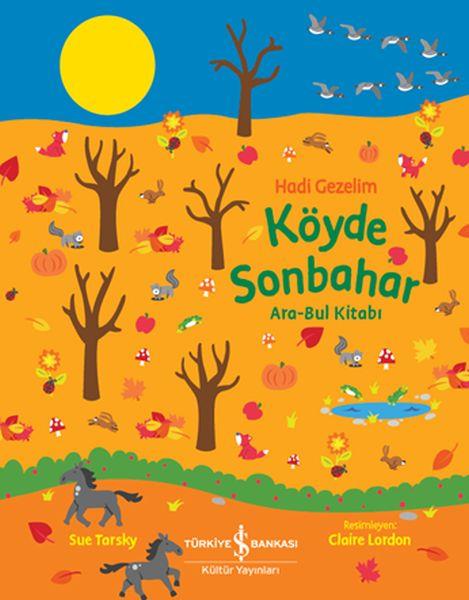 Köyde Sonbahar Ara-Bul Kitabı - Hadi Gezelim