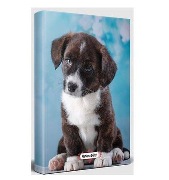 Minik Arkadaş - Planlama Defteri