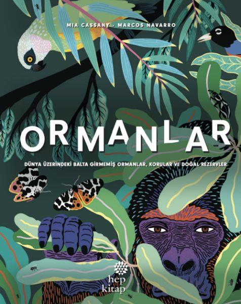 Ormanlar - Dünya  Üzerindeki Balta Girmemiş  Ormanlar, Korular ve Doğal  Rezervler